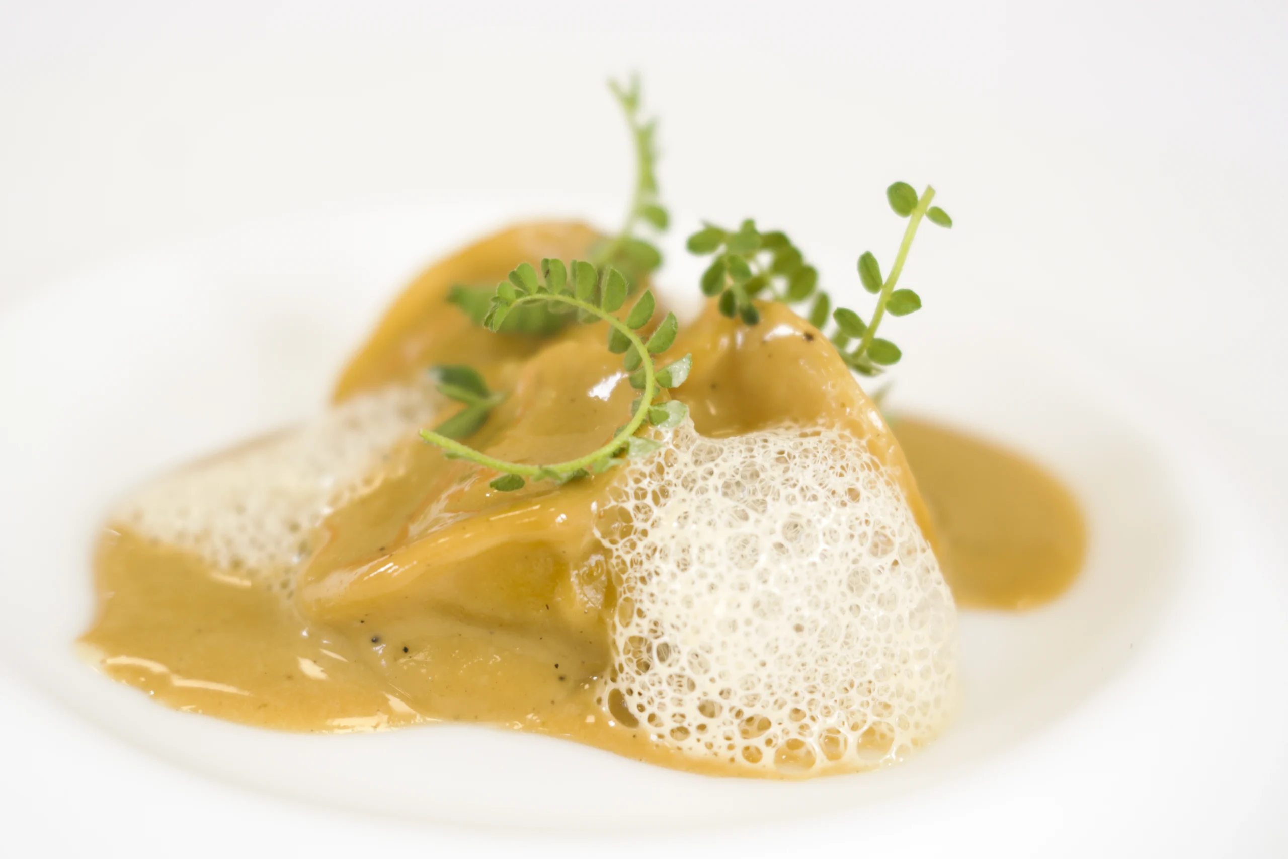 Pichón asado al punto con salsa de hongos, fotografía de cocina de autor en restaurante de Bizkaia.