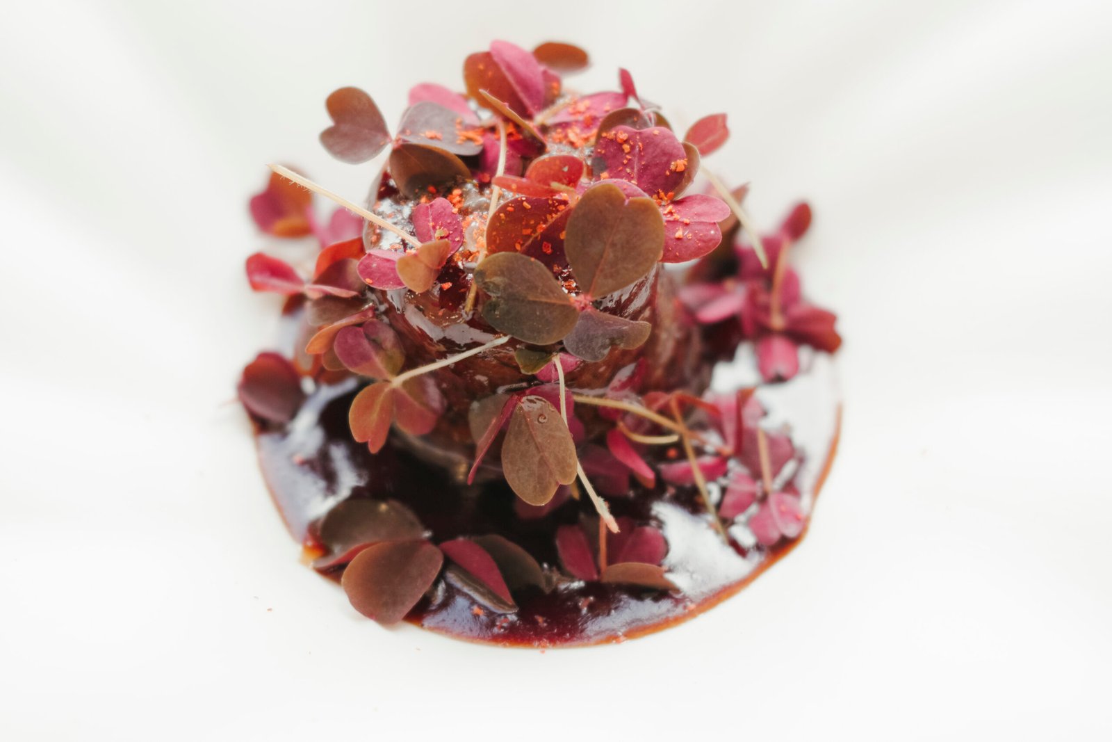 Emplatado de alta cocina fotografiado profesionalmente en Bilbao por AsitxoFilm