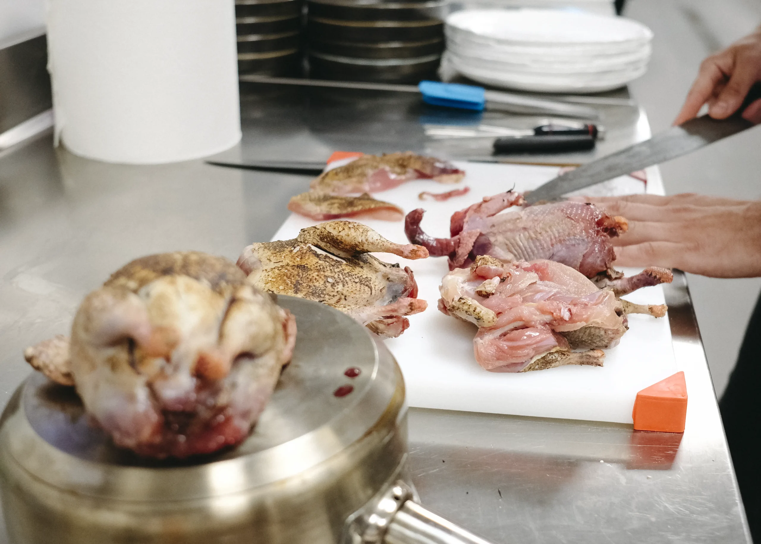 fotografía gastronómica plato gourmet del concurso de caza en Almagro hecha por AsitxoFilms