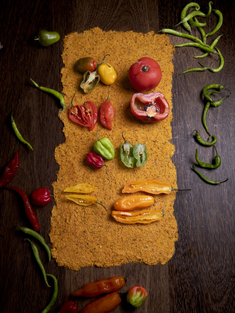 bodegon de  verduras diferentes de peru 
